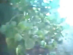 Indian beauty bonks in the forest