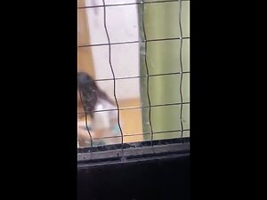 240105チカンはアカン盗撮エロ映像a2