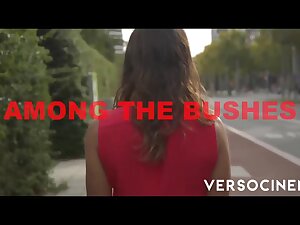 VERSO CINEMA Among The Bushes