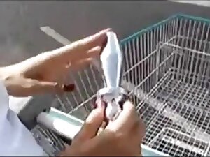 Au magasin sans culotte plug dans le cul