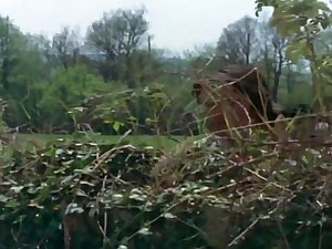 Vicieuse amandine (1976)