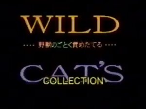Saori Nanami - WILD CAT'S JAV Classic Vintage