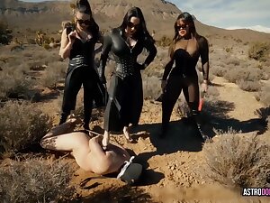 Interrogation For Money 2