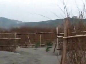 taiwan work girl lusts 1