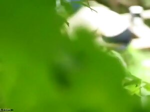 Lewd pair fuck in the woods