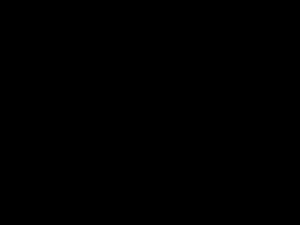 Fabuleux Strapon, Cunnilingus xxx clip