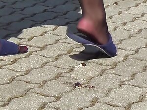 Insect vs sexy slippers