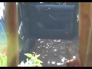 Spying on a hooker two