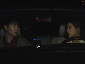 Korean Pornstar - Nice couple gets fucked in the car