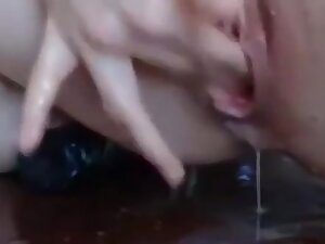 student 18+
