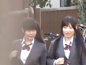 JAPAN ass