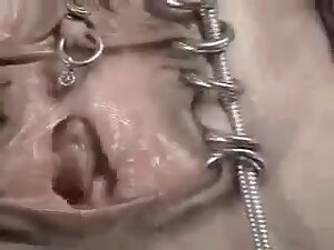 piercing slave