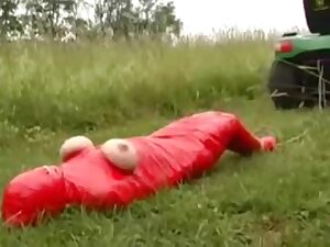 The Farm Life