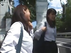 Chikan 570