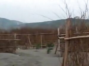 taiwan work girl lusts 1
