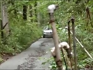 Man Arranges for Car Cuckold