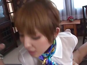 The Best Of Hikaru