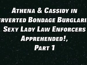 Sexy policewomen and fondled
