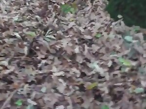 Slut wife in forest gangbaned in forest